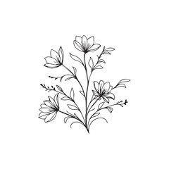  floral line art