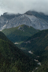Naklejka premium The high mountain forest scenery of the Qinghai Tibet Plateau, Daocheng Yading Scenic Area in Sichuan, China