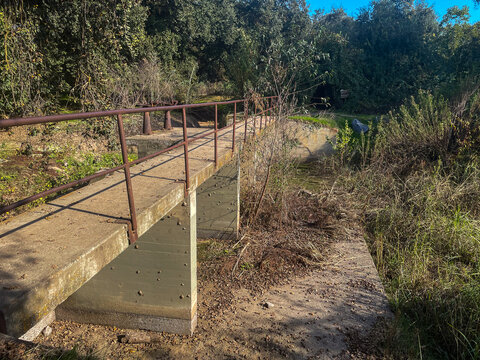 The Kaweah River Delta Oak Preserve showing the flood control structures that protect the Delta from Flooding