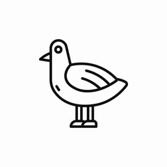 seagull bird icon sign vector