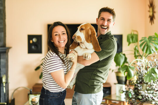 Portrait of beautiful couple stand, smile and hug at home with basset dog