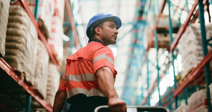 Distribution, back and man in warehouse, trolley and restock inventory with supply chain. Person, pallet truck and employee in factory, low angle or moving freight with logistics or shipping industry