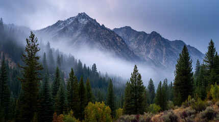Fototapeta premium A scenic view of a mountain range shrouded in mist with a dense forest in the foreground scene