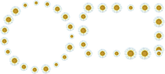 Infinity symbol made from small white daisies on a background Vector