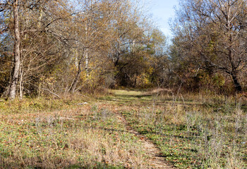 Autumn in the countryside, the morning sun warming the ground that had cooled during the night
