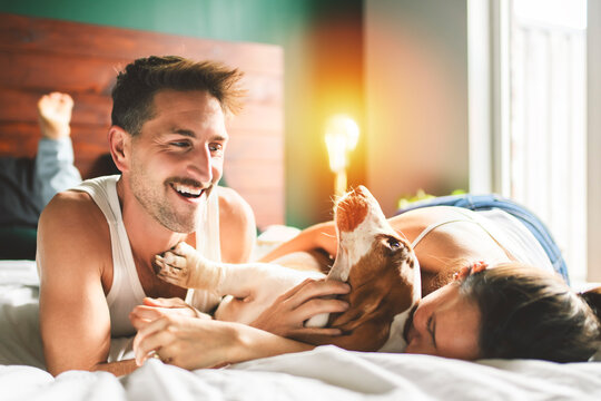 Couple and her Basset dog on bedroom having great time