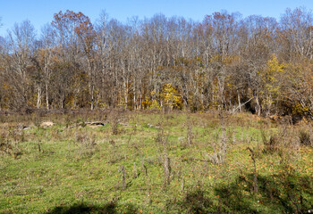 Autumn in the countryside, the morning sun warming the ground that had cooled during the night