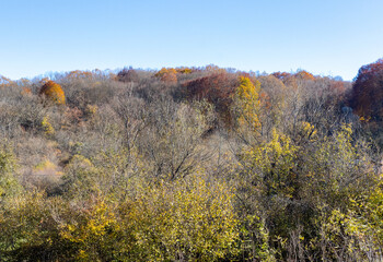 Autumn in the countryside, the morning sun warming the ground that had cooled during the night