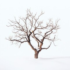Naklejka premium Dead tree branches winter minimalist.