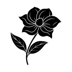 a flower in bloom vector art illustration