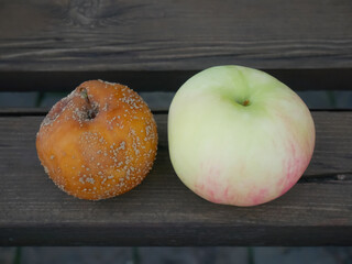 Fresh Versus Rotten Apples: Nature's Life Cycle