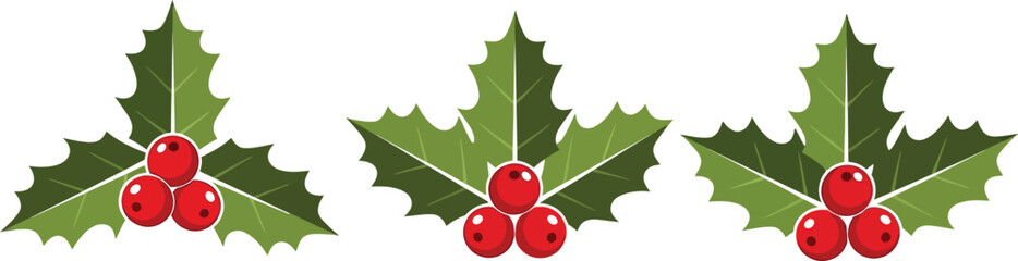 Three decorative holly leaves with berries arrangement isolated on transparent background. Green leaves and red berries. Christmas winter holiday © M Rana