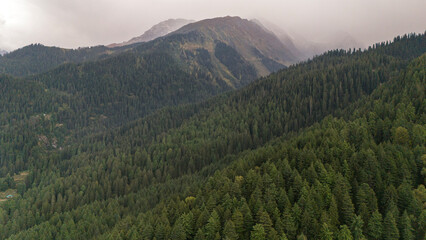 Aerial view of Fairy Forest in Pulga, Parvati Valley, Himachal Pradesh on an autumn evening, showing dense pine and deodar trees with rocky mountain peaks in the background and clouds drifting over 
