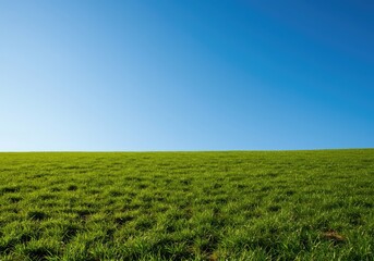 Obraz premium Gentle grassy slope ascending toward a distant ridge under a bright blue sky. Natural texture and vibrant green growth define the terrain ,grass ,natural light ,incline