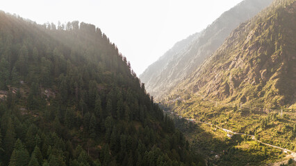Two forested mountains in Parvati Valley, Himachal Pradesh, covered with pine and deodar trees, captured in autumn as soft sunlight filters through light mist drifting between the slopes.