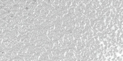 Detailed Close- Up Macro View of a Textured Gray Surface with Subtle Speckled Patterns and Irregular Granular Details Creating an Abstract Background
