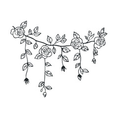 Obraz premium Elegant floral decoration with rose vines and leaves.Vector hand draw