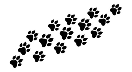 Discovering the path forward with bold paw prints trailing across a clean white canvas