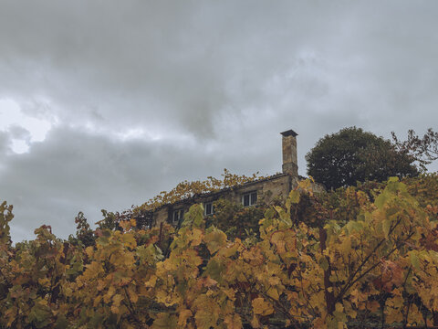 View of a stone building with a chimney, framed by autumn-colored trees under a cloudy sky, Ribeira Sacra, Chantada, Lugo, Spain.