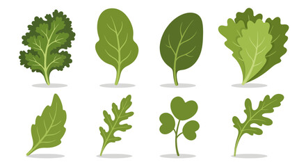 Diverse culinary greens assortment showcasing freshness and healthy eating options in design