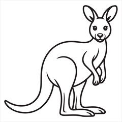 kangaroo vector illustration