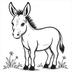 vector illustration of a donkey
