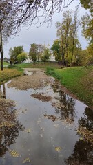 the river in the park
