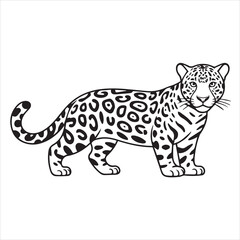 vector illustration of a jaguar coloring page