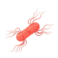 Illustration of a single rodshaped bacterium with flagella