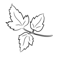 leaves on branch, sketch of black art brush lines