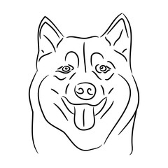 head of Alaskan malamute dog, sketch of black art brush lines