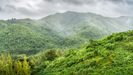 Fototapeta premium the view - die Aussicht