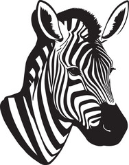 Zebra standing black and white wild zebra animal vector on white background