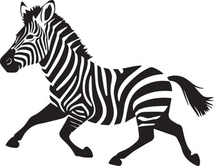 Zebra standing black and white wild zebra animal vector on white background