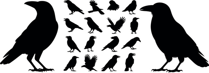 Obraz premium Bird silhouettes vector set, flying birds clipart, eagle crow raven icons, nature wildlife, animal collection, isolated black silhouettes, graphic design elements