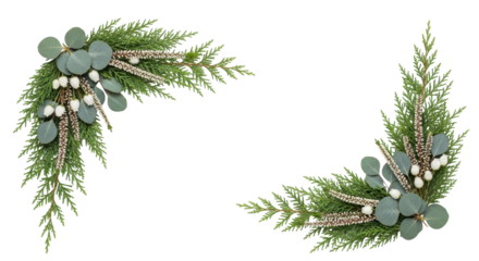 Isolated festive sprigs of greenery with eucalyptus leaves and small flowers, holiday decoration