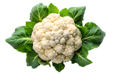Fresh Cauliflower Head with Green Leaves Isolated on a Black Background
