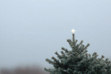 stunning captures ultrabright star atop evergreen tree set against gloomy gray sky