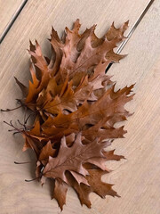 Obraz premium Close-up of dry oak leaves on a wooden surface, autumn composition with warm brown tones, seasonal fall background.