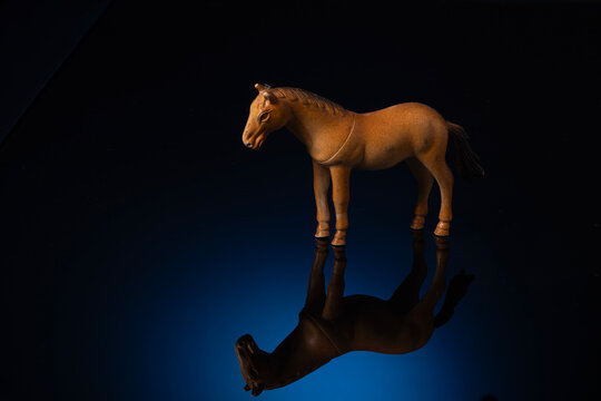 horse on black background