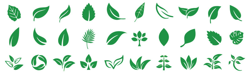 leaf, plant, nature, green, icon, symbol, foliage, botanical, organic, eco, growth, tree, branch, sprout, design, element, collection, set, isolated, white background, vector, silhouette, natural, veg