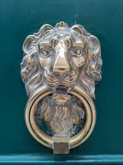 lion head door knocker