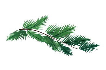 Obraz premium Pine leaves plant green leaf.