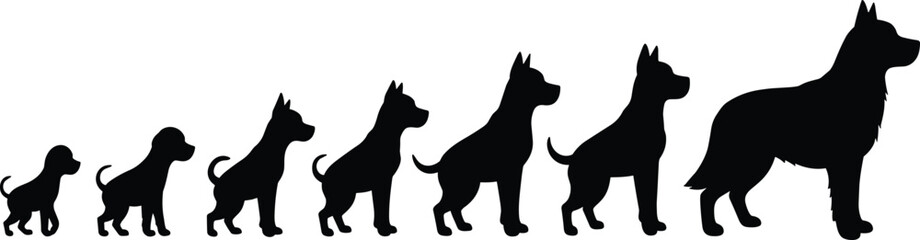 Dog growth stages, puppy to adult, silhouette evolution, pet development, animal lifecycle, black dog shapes, canine transformation, educational illustration