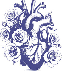 Anatomical heart entwined with elegant roses vector illustration
