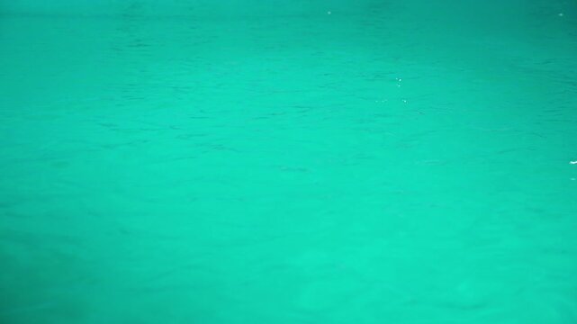 Tranquil water background in shades of green and blue, with soft waves creating a serene liquid design. This beautiful aquamarine seascape is perfect for meditation or unwinding