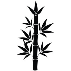 Fototapeta premium bamboo shoot on white