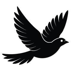 flying bird on white
