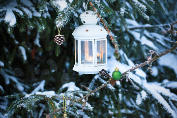 Christmas lantern with candle on branch of snowy winter tree, outdoors