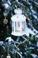 Christmas lantern with candle on branch of snowy winter tree, outdoors